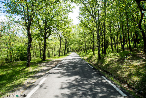 caffealvolo_san-paul-en-foret