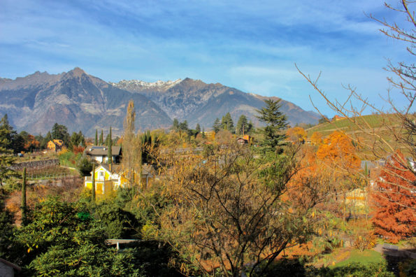 paesaggio autunno